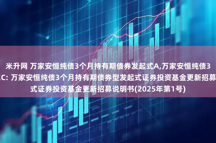 米升网 万家安恒纯债3个月持有期债券发起式A,万家安恒纯债3个月持有期债券发起式C: 万家安恒纯债3个月持有期债券型发起式证券投资基金更新招募说明书(2025年第1号)
