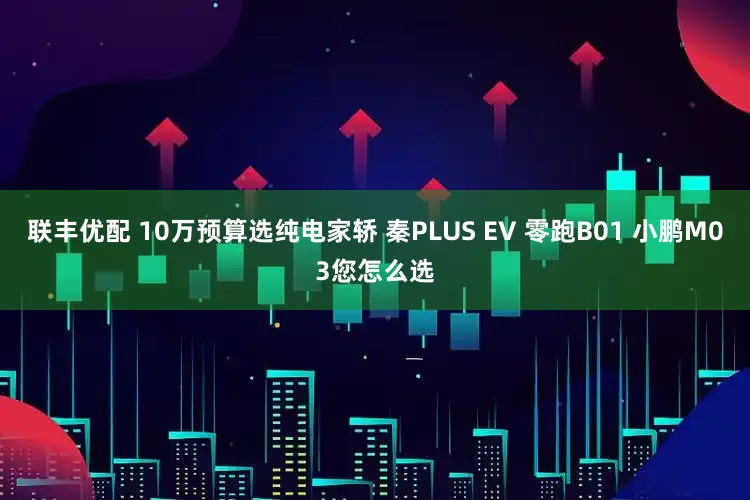 联丰优配 10万预算选纯电家轿 秦PLUS EV 零跑B01 小鹏M03您怎么选